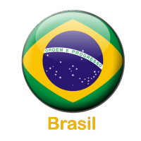 Brasil pin